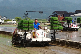 農作業 働く様子